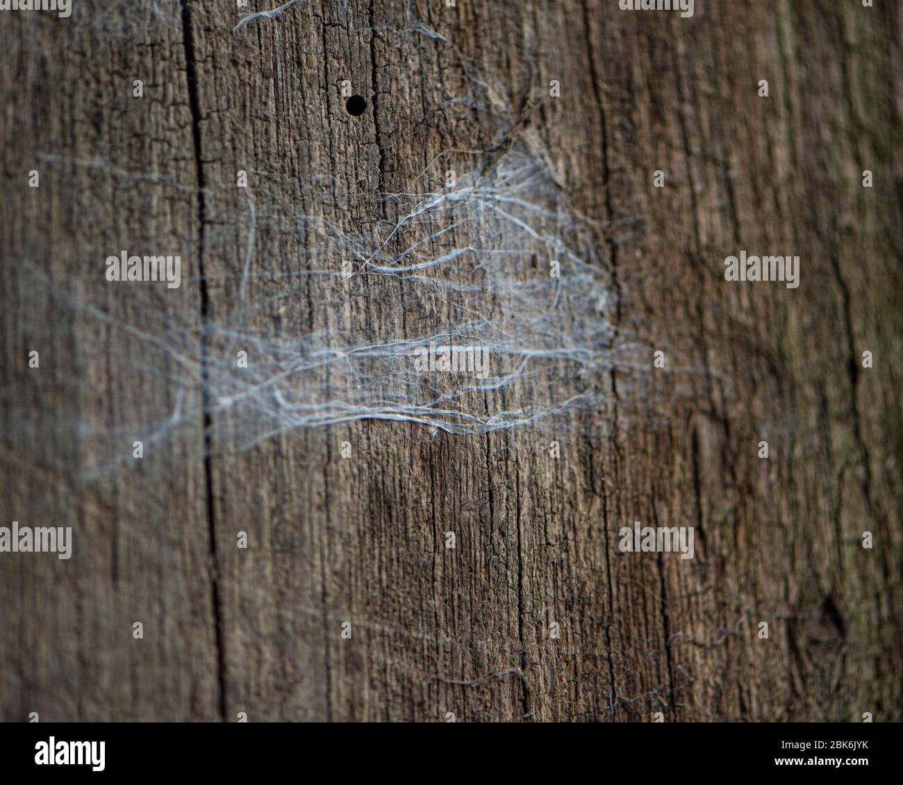 old oak lintel Stock Photo