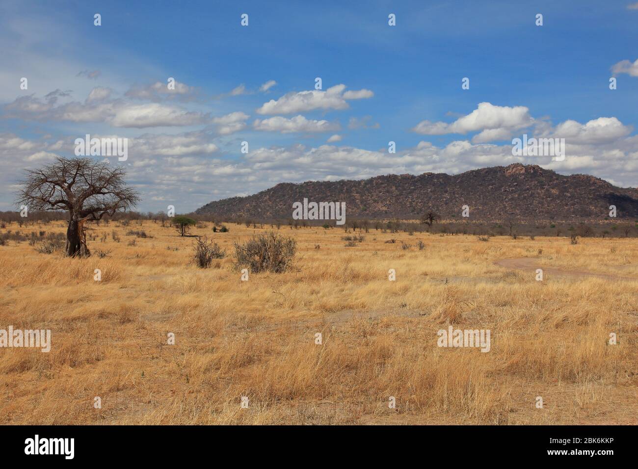 Scenic view of African savanna Stock Photo