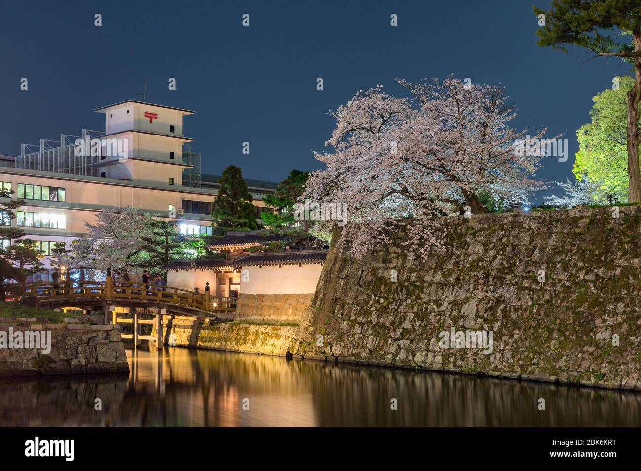Entrance to the Wakayama castle with cherry blossoms, old historic Japanese castle in Wakayama city, Japan Stock Photo