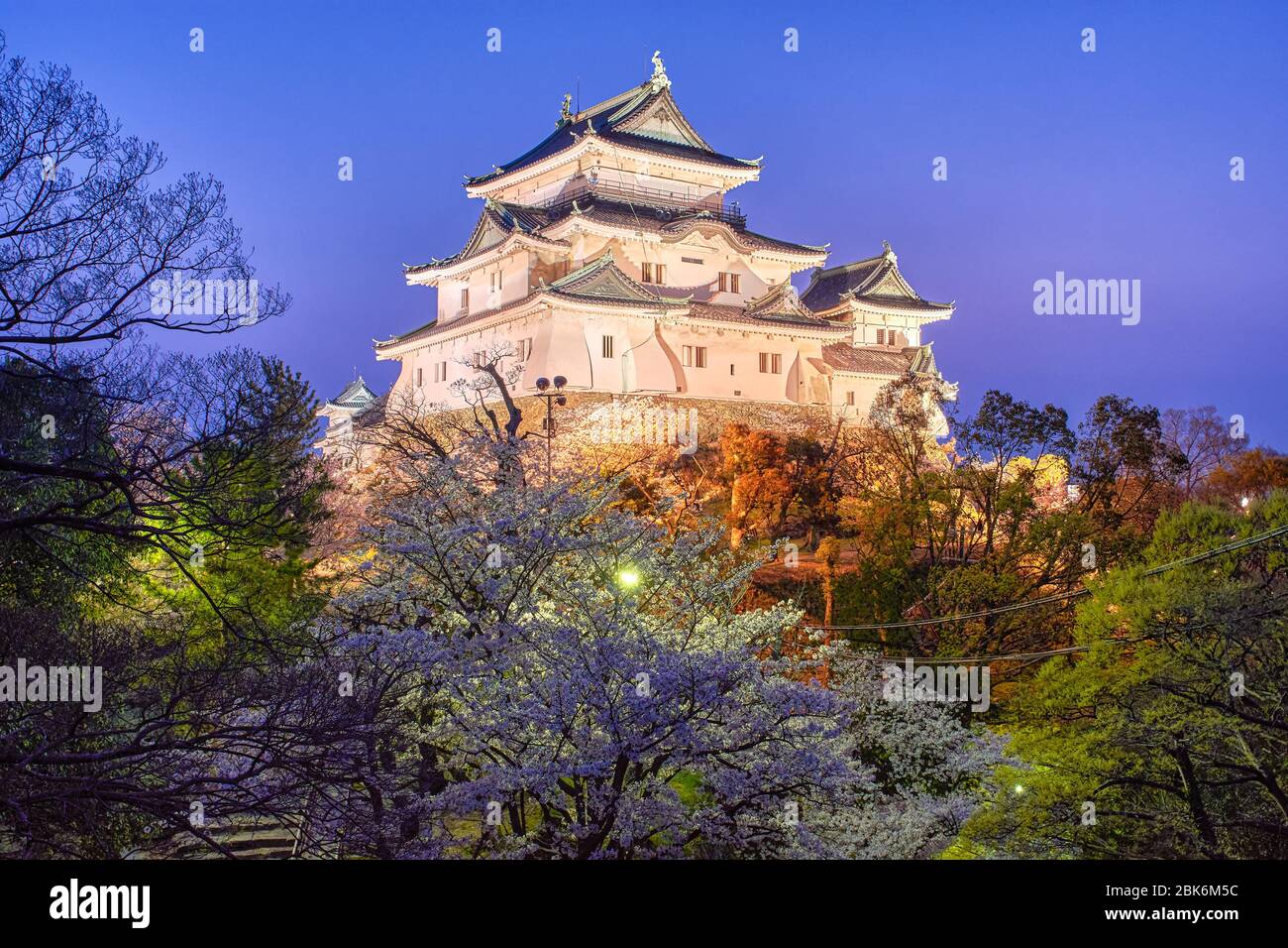 Evening view of beautiful white Wakayama castle in cherry-blossom sakura season in Wakayama city, Japan Stock Photo
