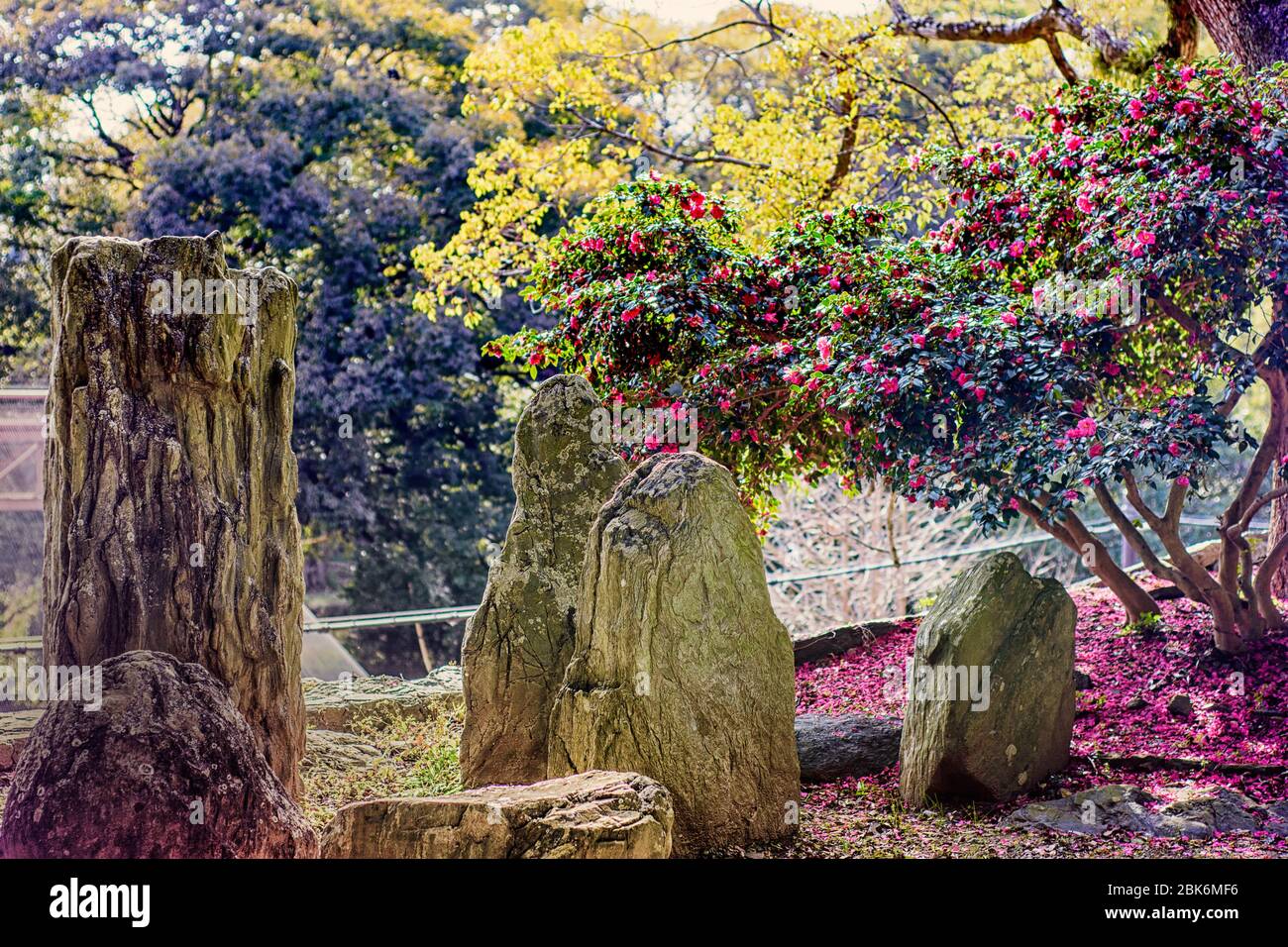 Garden in Wakayama castle, old historic Japanese castle in Wakayama city, Kansai, Japan Stock Photo