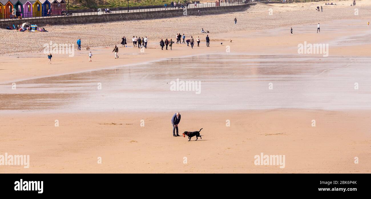 People Going For A Stroll And Walking Their Dogs On The Beach At people-going-for-a-stroll-and-walking-their-dogs-on-the-beach-at