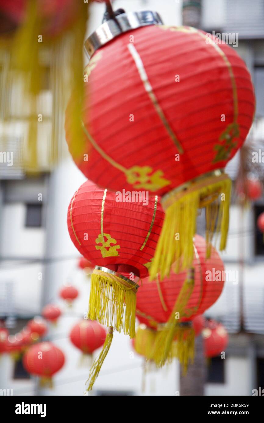 chinese new year list of animals
