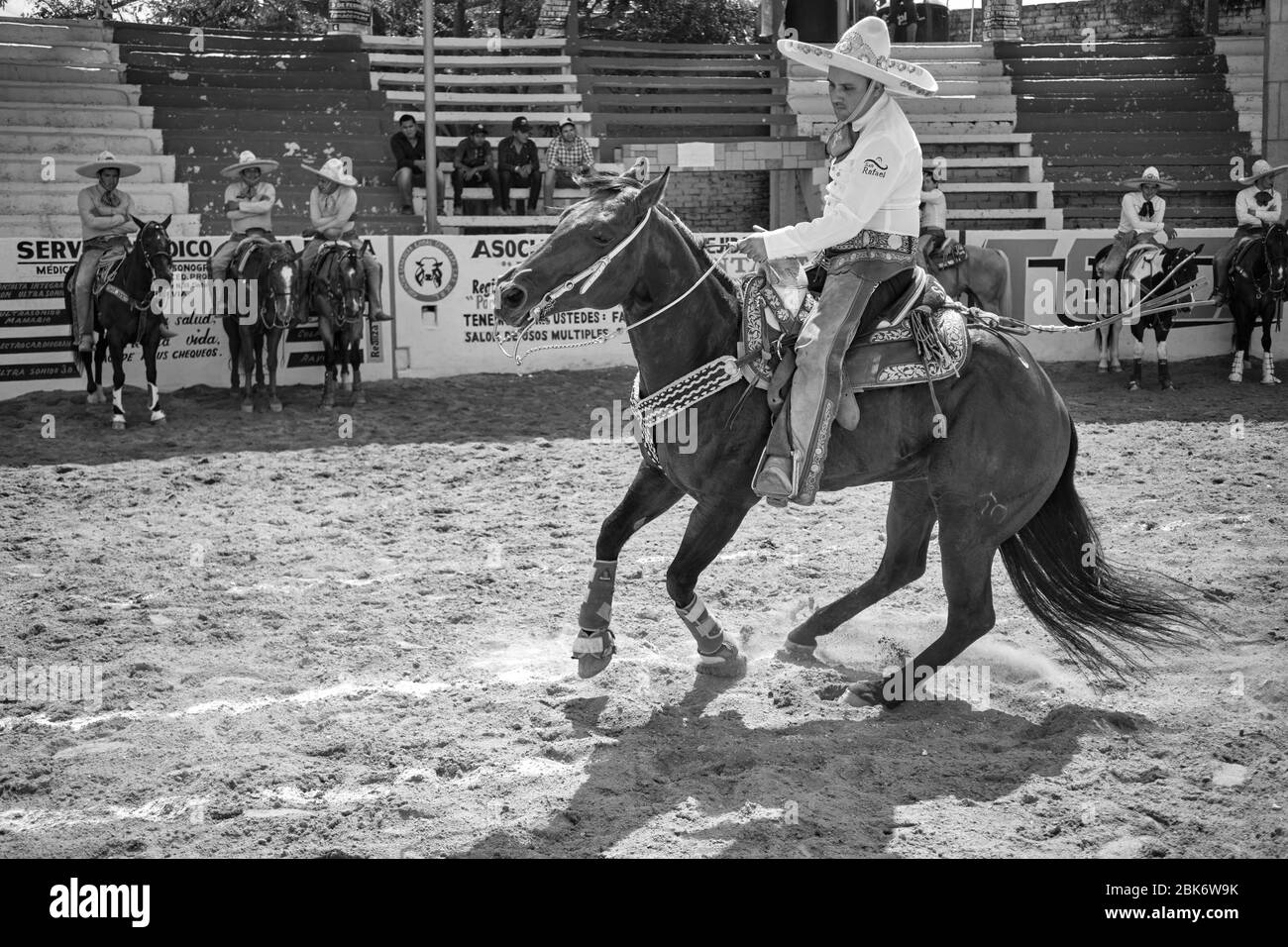 Mexican cowboy showing his skills as a horse rider during a 'charreria'.  Charrerias are the Mexican equivalent of rodeos. For three days the particip Stock Photo