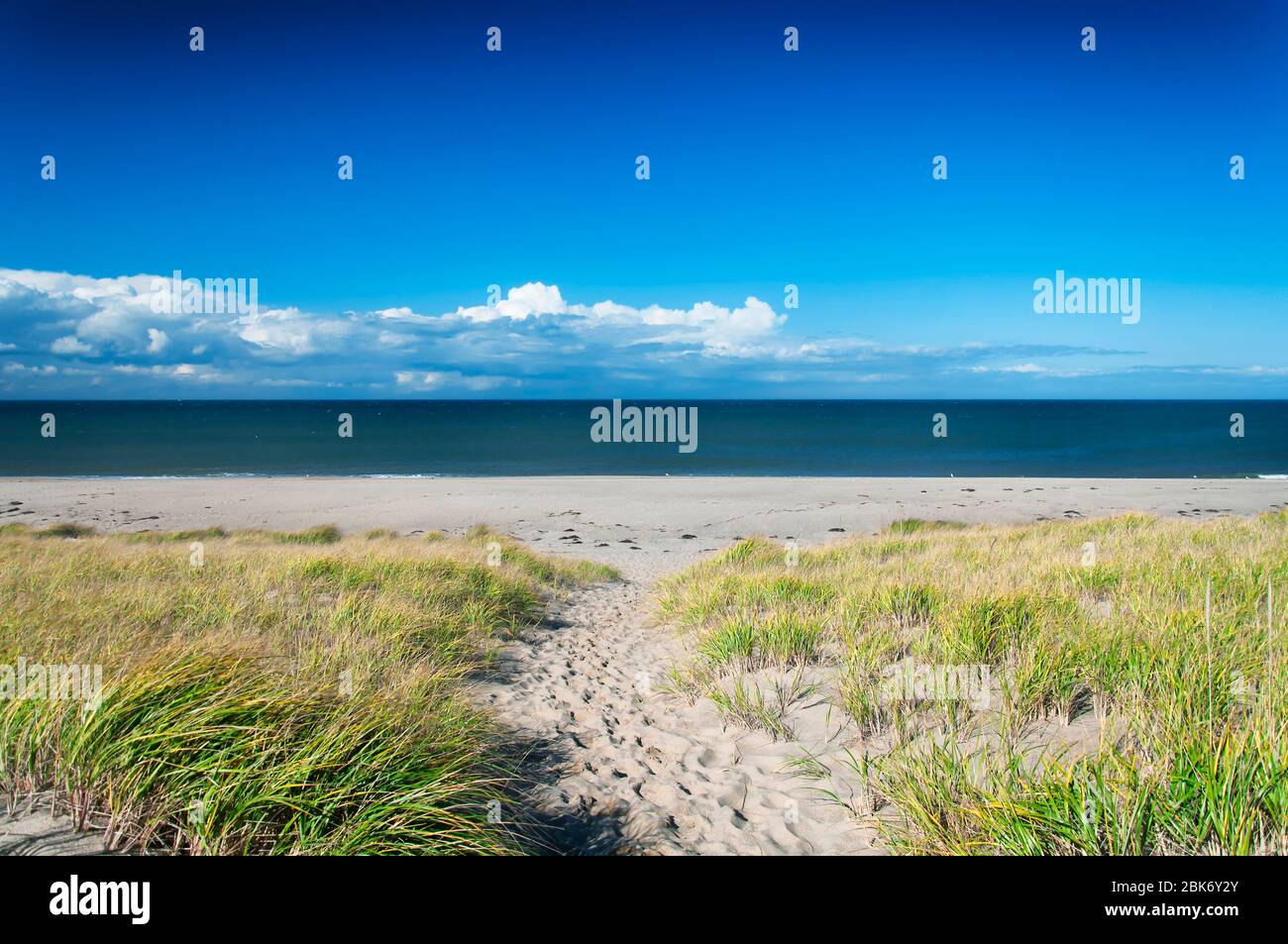 The grass covered sand dunes leading to race point beach on the cape cod national seashore in massachusetts. on a sunny blue sky day. Stock Photo