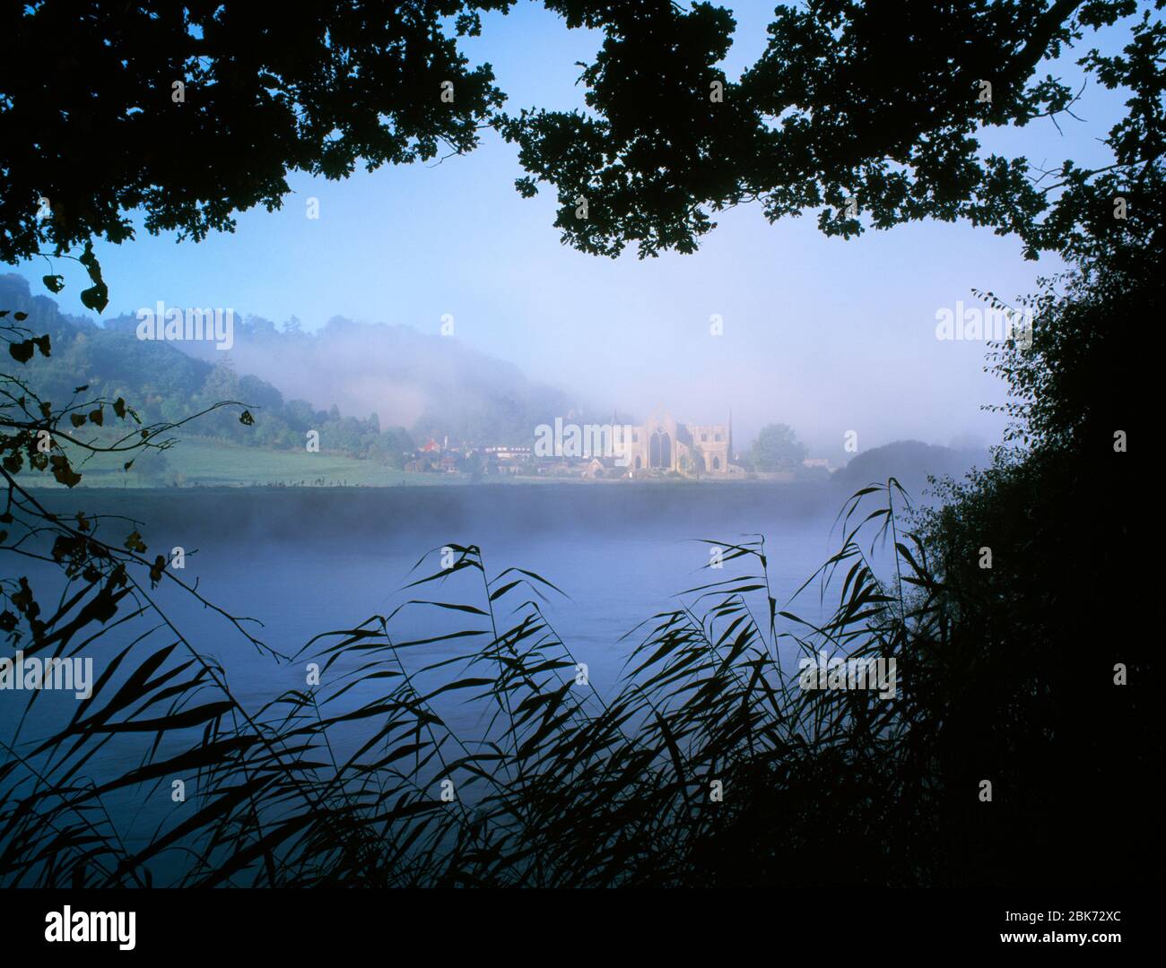 Tintern Abbey beside River Wye, Tintern Pava, Chepstow, Monmouthshire, South Wales. Misty summer morning. Stock Photo