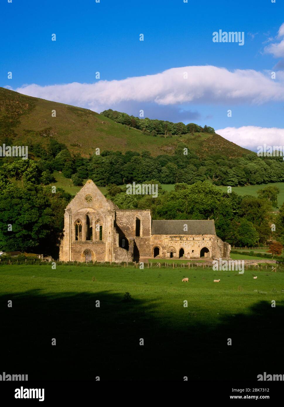 Valle Crucis Abbey seen from road, Llangollen, Denbighshire, Wales. Ruined medieval Cistertian abbey Stock Photo