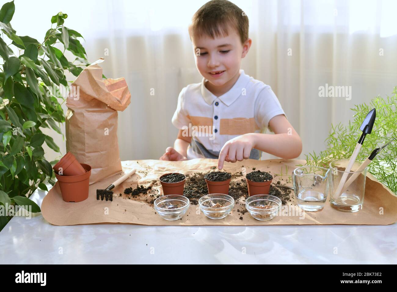A child is busy planting seeds in pots. A boy with a happy smile points his finger at the pots with planted seeds. Stock Photo