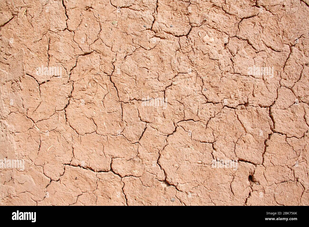 Red clay texture with cracks and straw Stock Photo