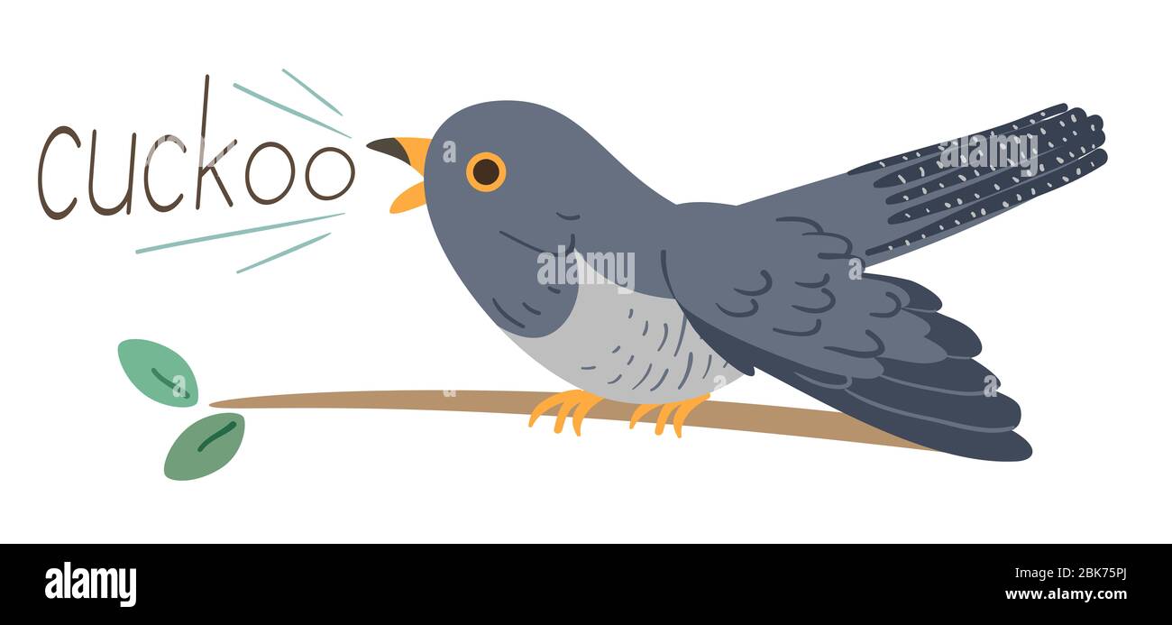 Cuckoo bird sound Cut Out Stock Images & Pictures - Alamy Cuckoo bird sound Cut Out Stock Images & Pictures - Alamy