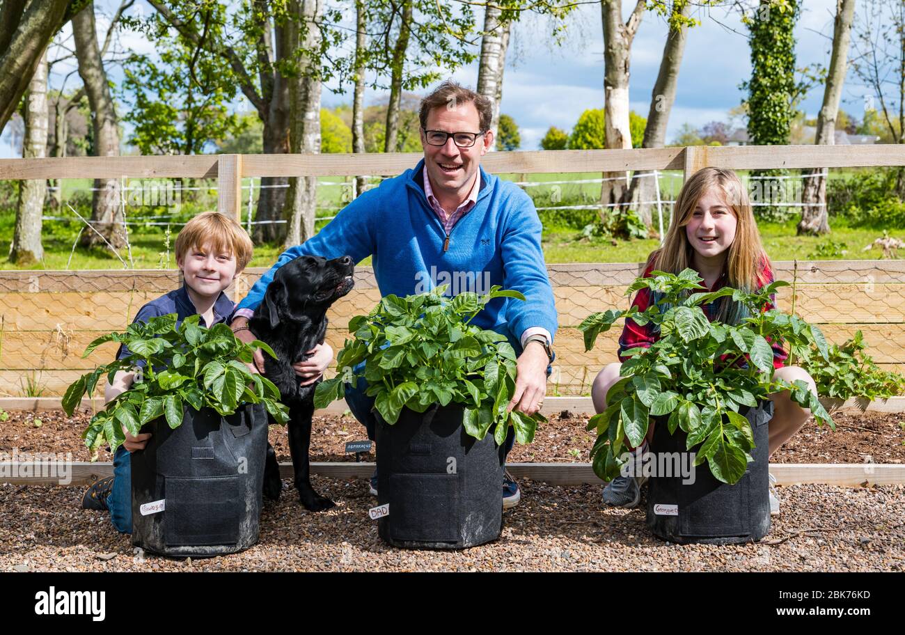 Camptoun, East Lothian, Scotland, United Kingdom. 2nd May, 2020. A community in lockdown: residents in a small rural community show what life in lockdown is like for them. Pictured: Georgie, aged 11 years and Charlie, aged 9 years have a number of projects around their home including a potato growing competition with their father, Shane Stock Photo