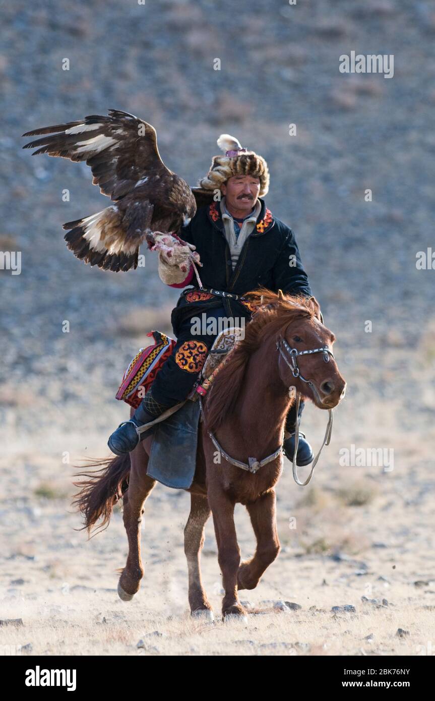 Eagle hunter and Golden Eagle at Eagle Hunters festival near Ulgii in