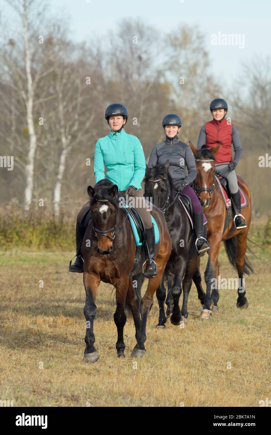 Group of three female horse riders hi-res stock photography and images ...