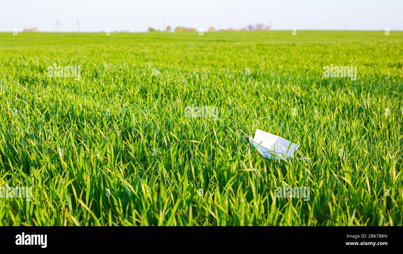medical mask thrown on the field lying on the green grass in the sun. environmental pollution during the pandemic of the coronavirus covid-19. Stock Photo