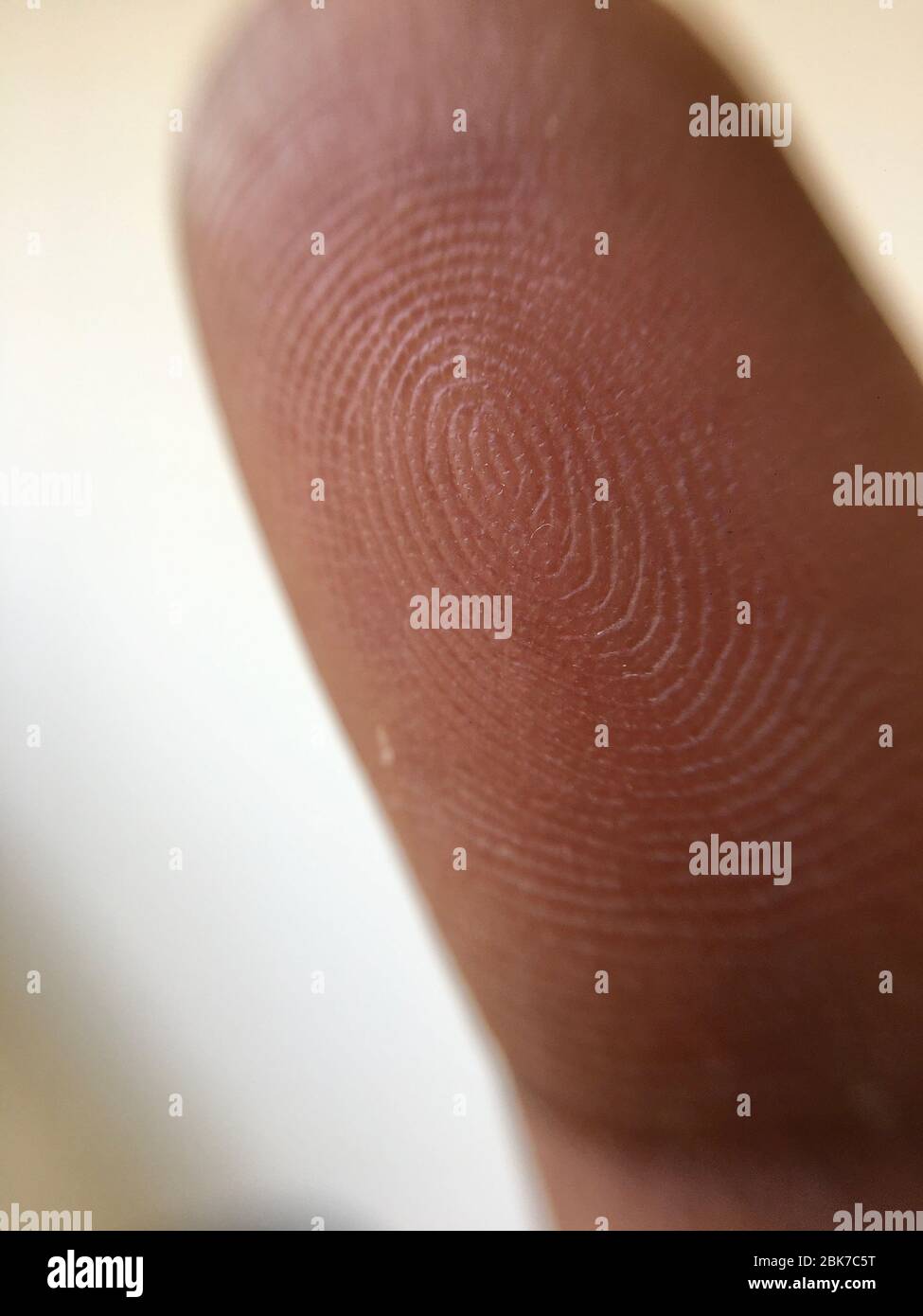 Macro view of a finger print, Thumb macro photography , thumbprint. Stock Photo