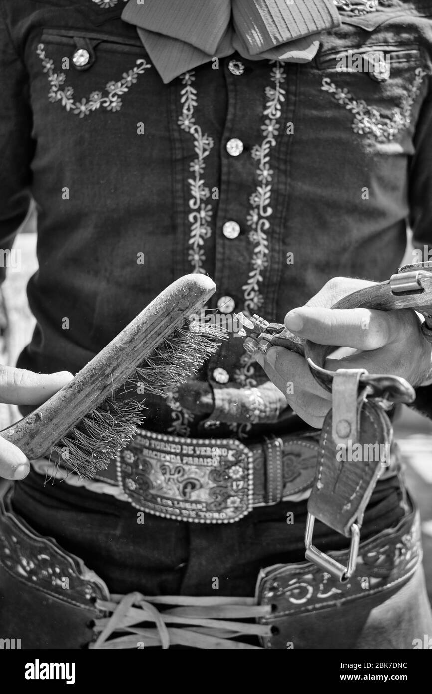 Mexican cowboy cleaning his spurs with a metallic brush. Stock Photo