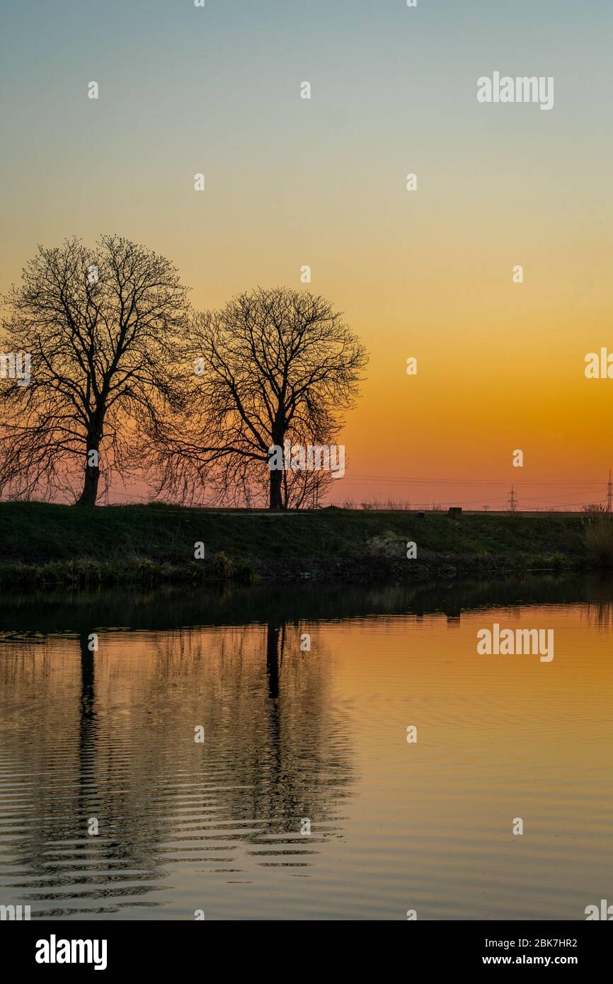 Reflexions on the water surface of two trees at a river at sunset Stock Photo