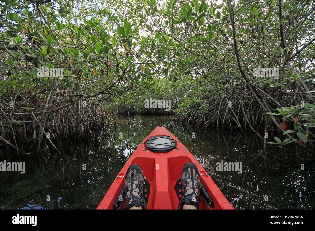 Everglades National Park, Florida October 7, 2012 Red kayak on Nine