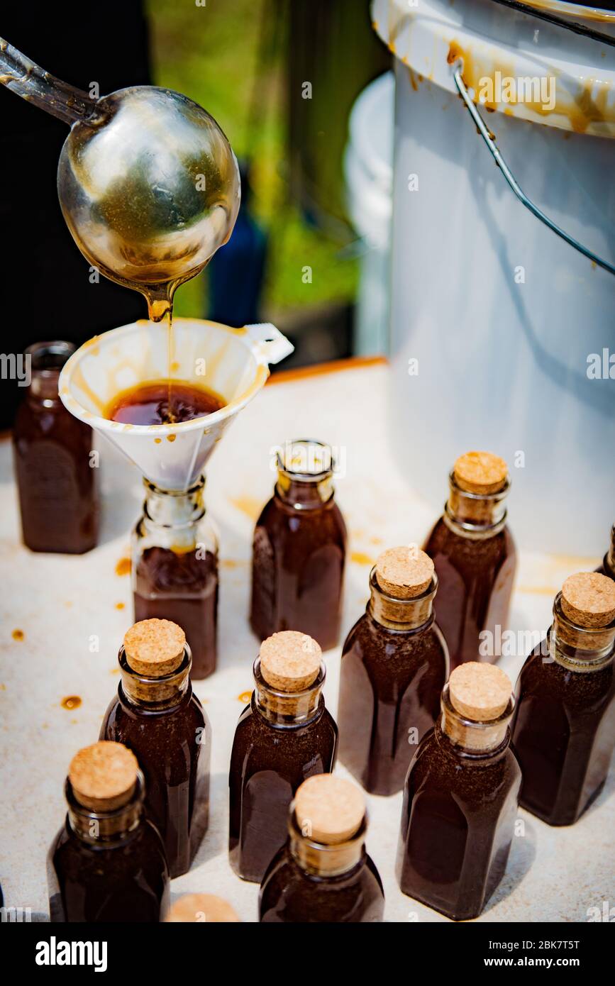 Honey being ladled into antique 8 oz jars Stock Photo