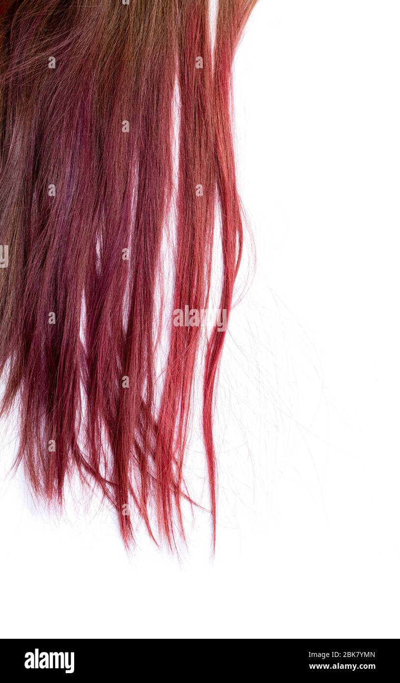 Haircut samples hires stock photography and images Alamy