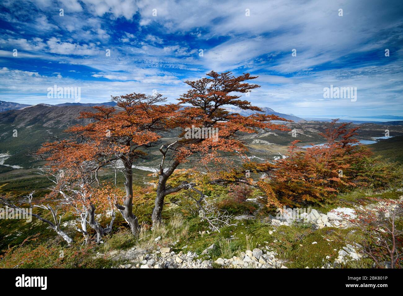 Landscape at Los Glaciares national Park in Patagonia (Argentina) Stock Photo