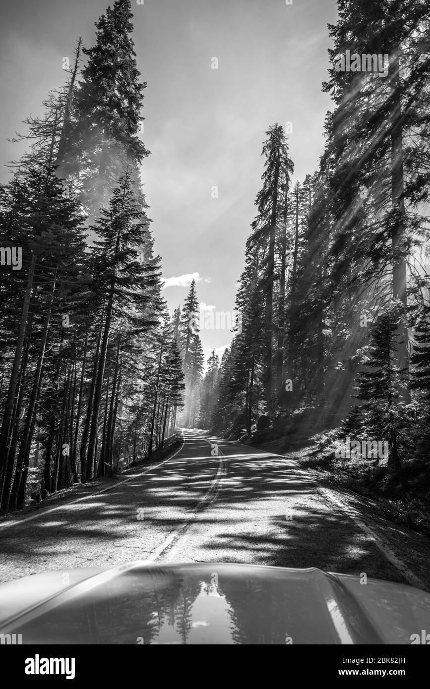 Driving through Yosemite Stock Photo