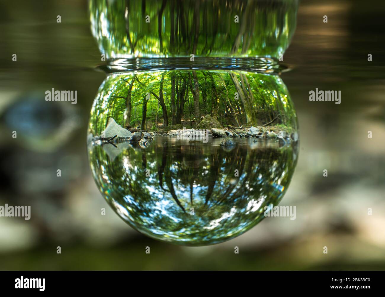 Fresh clear river water in the forest in a crystal sphere. Sunny spring day. The future of the nature. Stock Photo