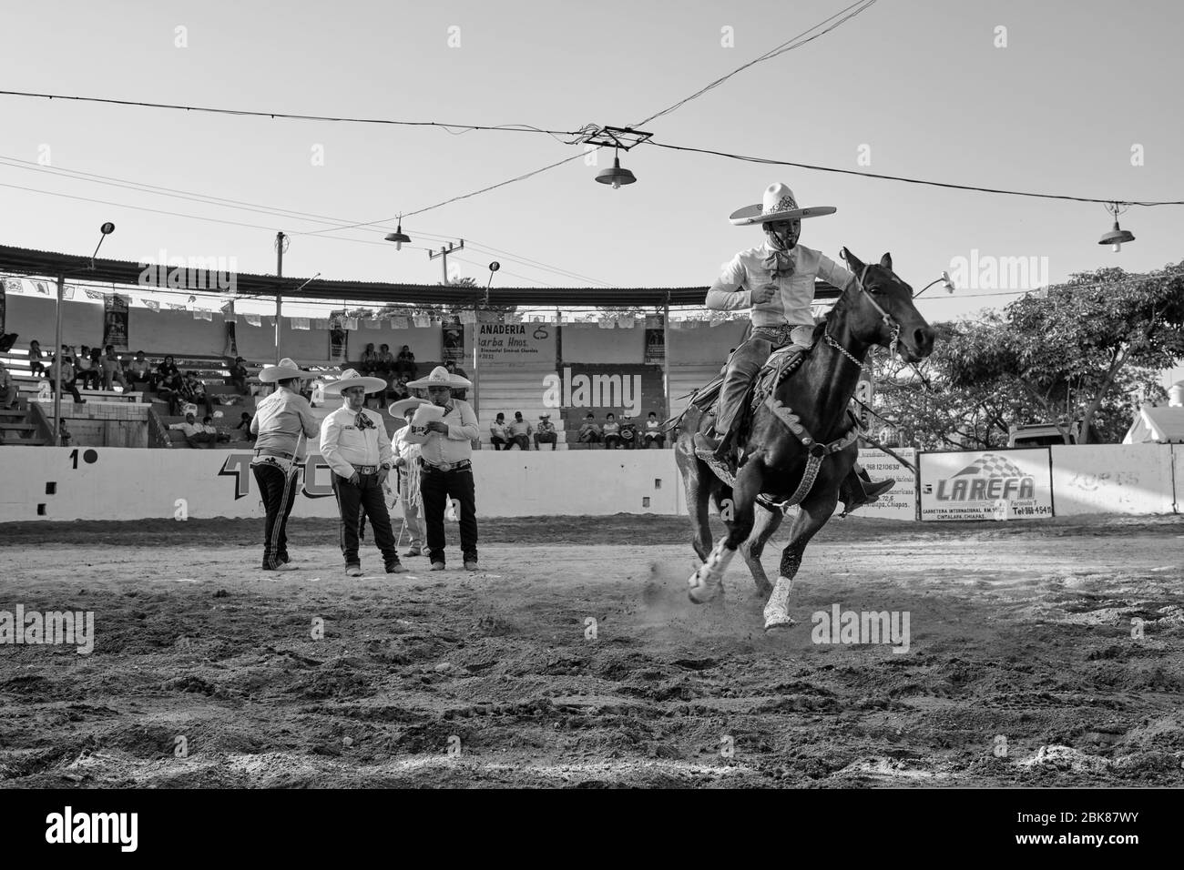 Mexican cowboy showing his skills as a horse rider during a "charreria