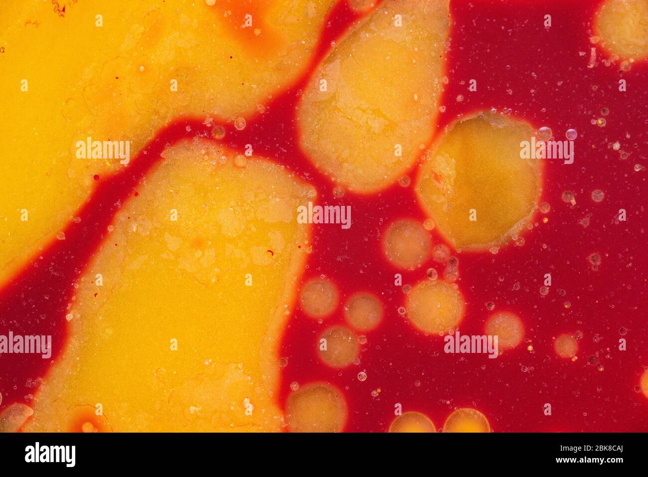 Yellow spots on a red background. Mixed natural colors. Abstract color