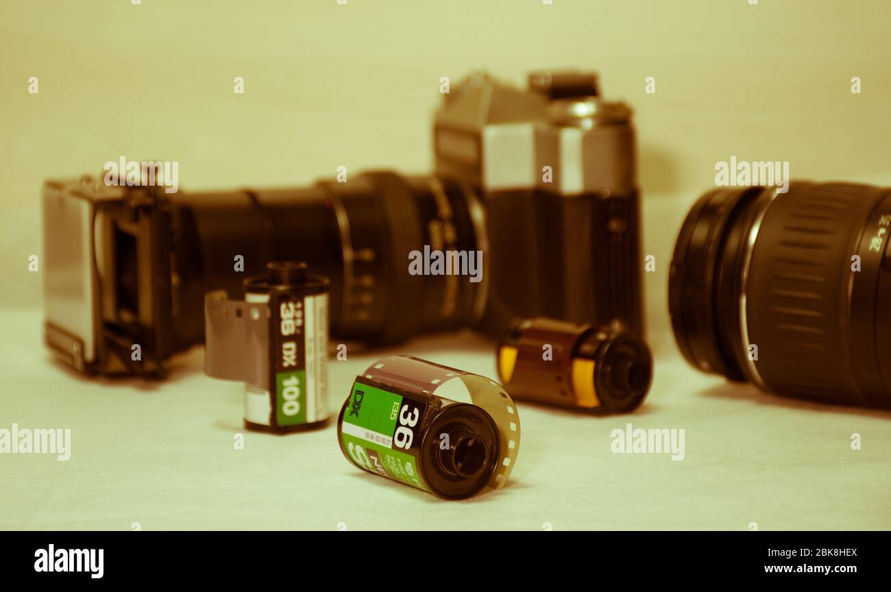 unused 36 exposure BW film rolls perspective preferentially placed with ...