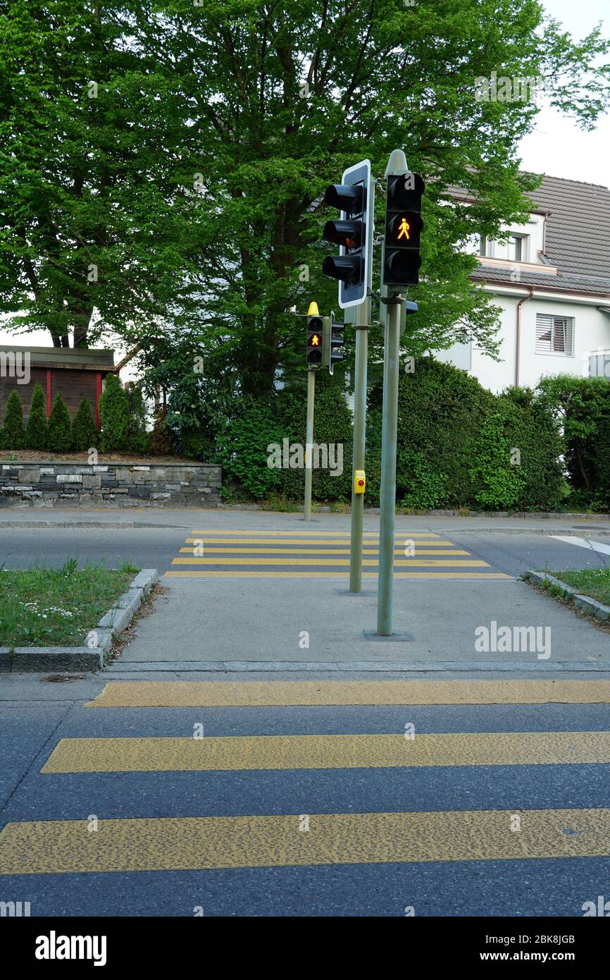 pedestrian crossing or zebra crossing with a set of stoplight or