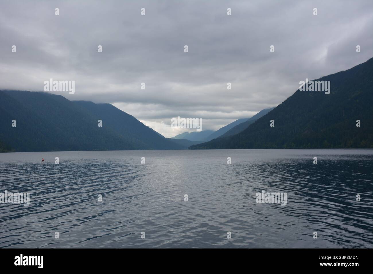 What are the Best Months to Visit Olympic National Park?