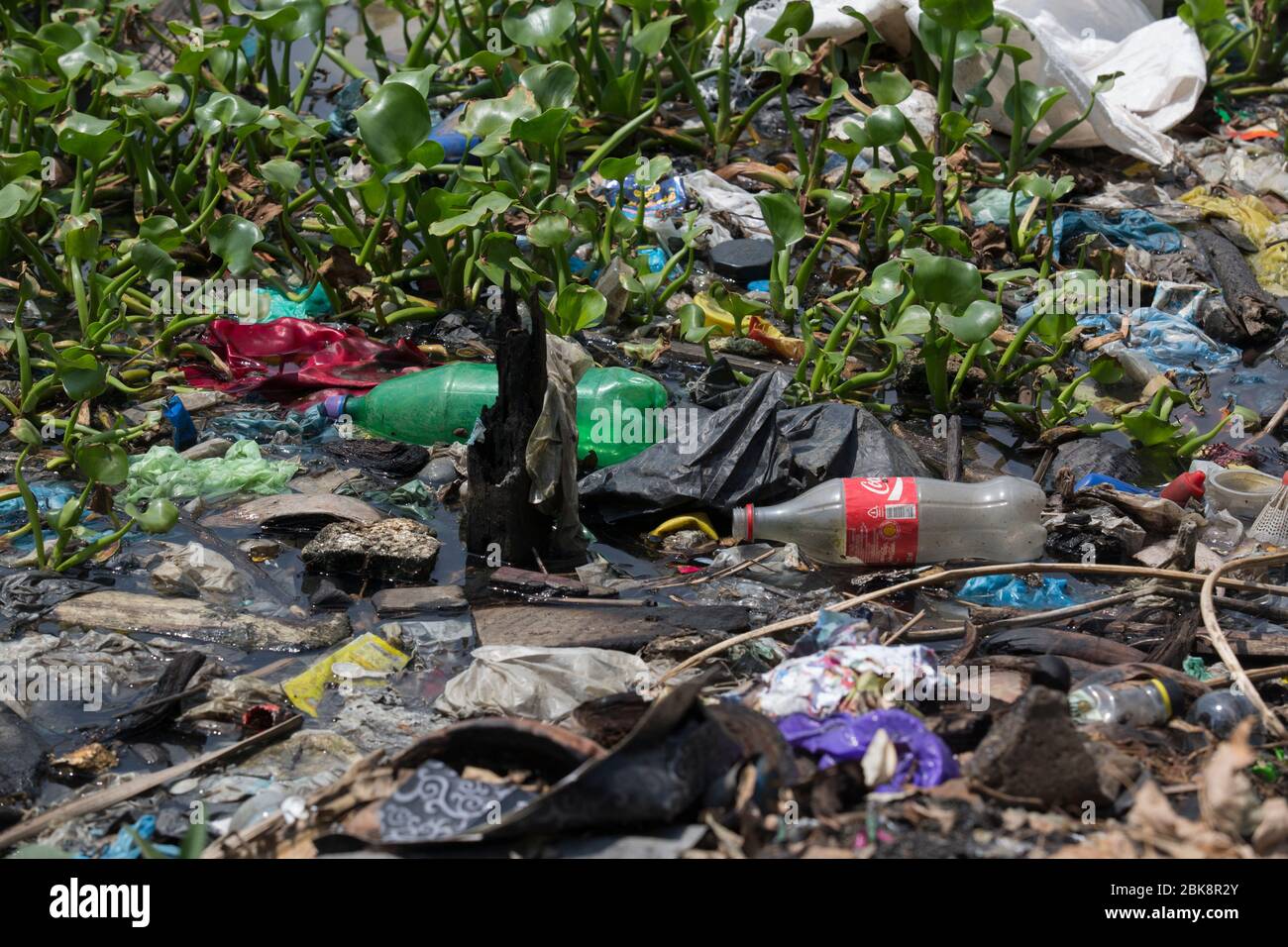 Plastic pollution in the Kelani Ganga River at Colombo in Sri Lanka