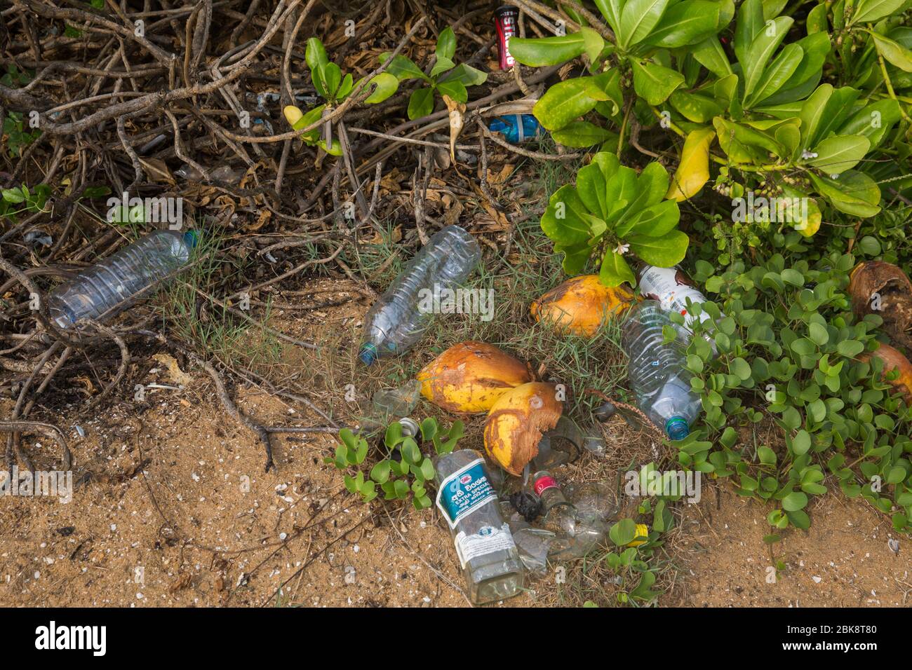 Plastic pollution on the sea beach at Colombo in Sri Lanka Stock Photo