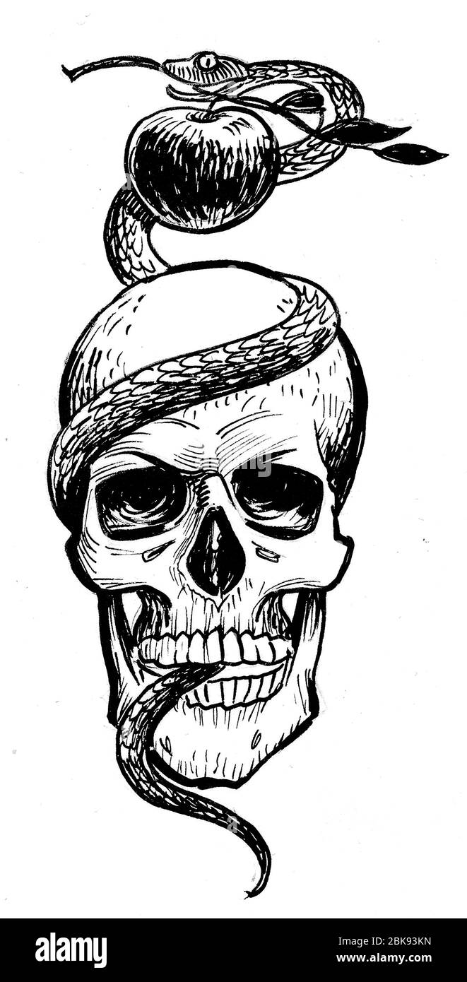Human skull with  snake and apple fruit. Ink black and white drawing Stock Photo