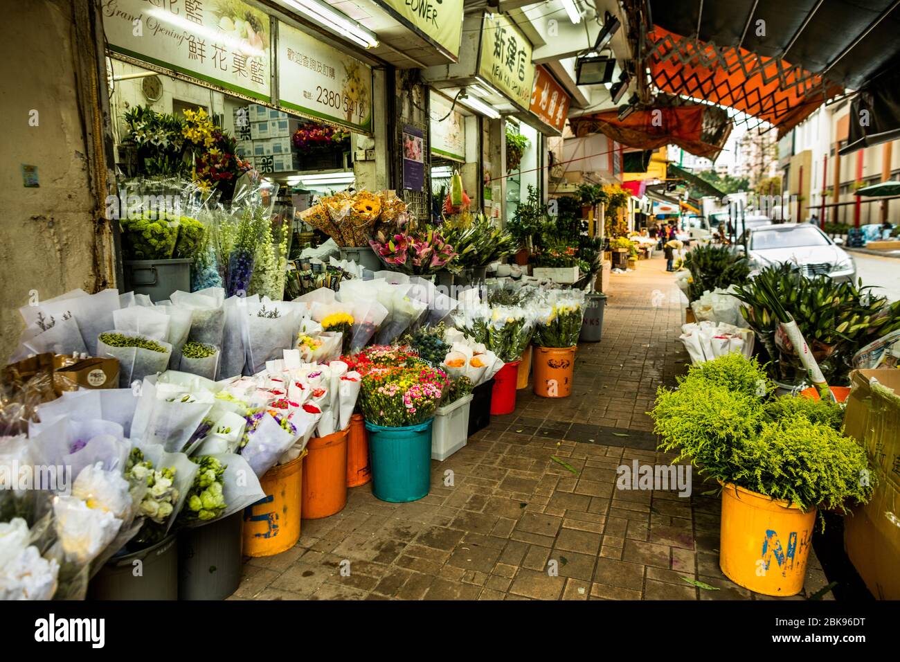 Mong Kok Flower Market in Hong Kong Stock Photo