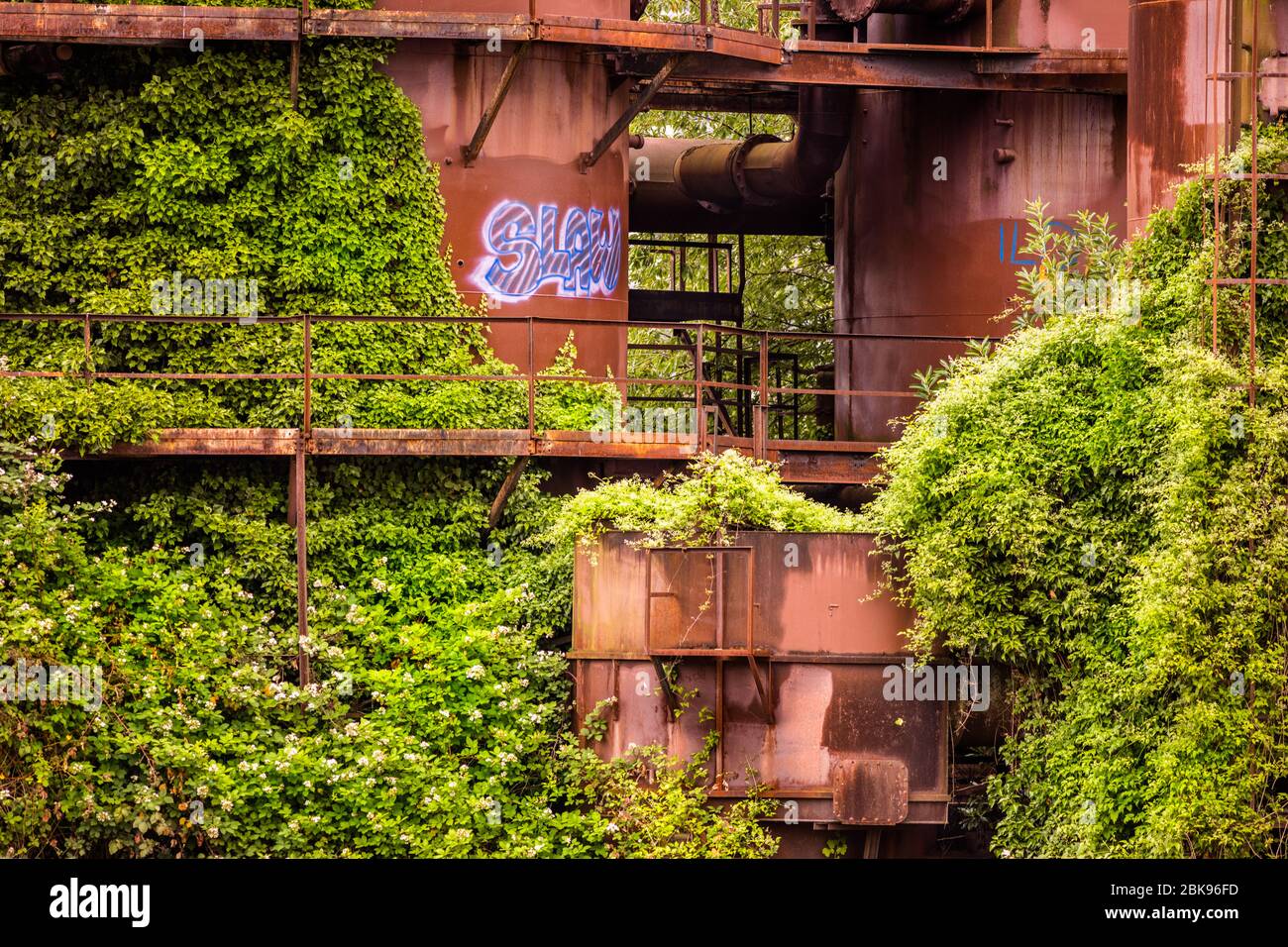 Abandoned steam plant now overgrown and reclaimed with vegetation Stock Photo