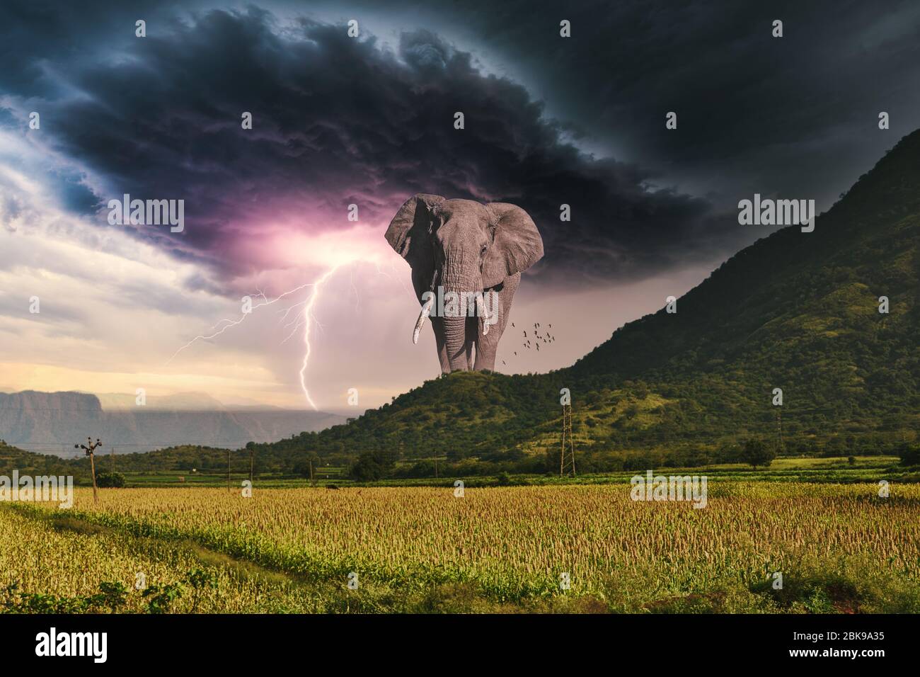 Elephant rising from the mountains. Stock Photo