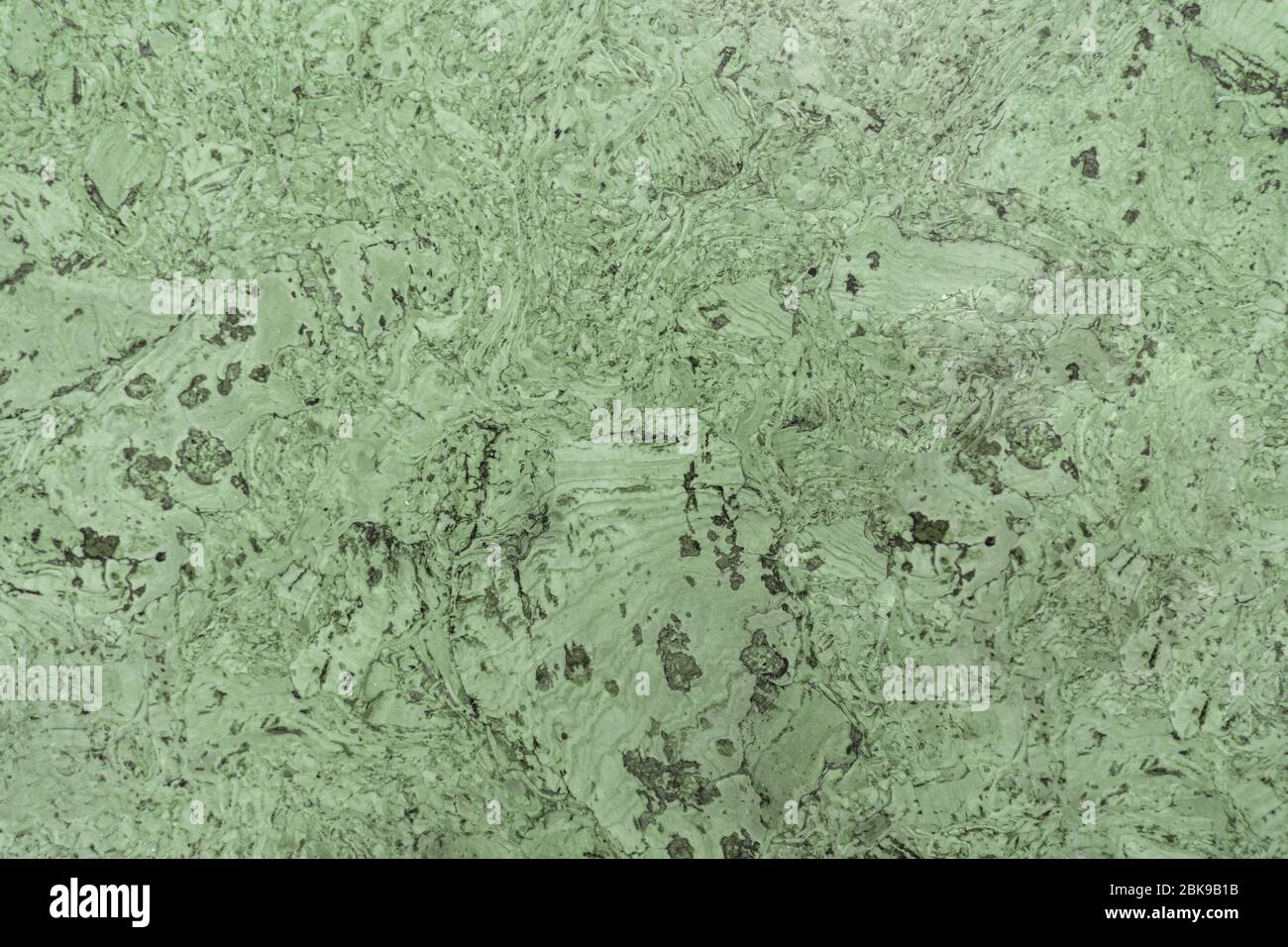 Cork tree background. green tint. bung floor covering Stock Photo - Alamy