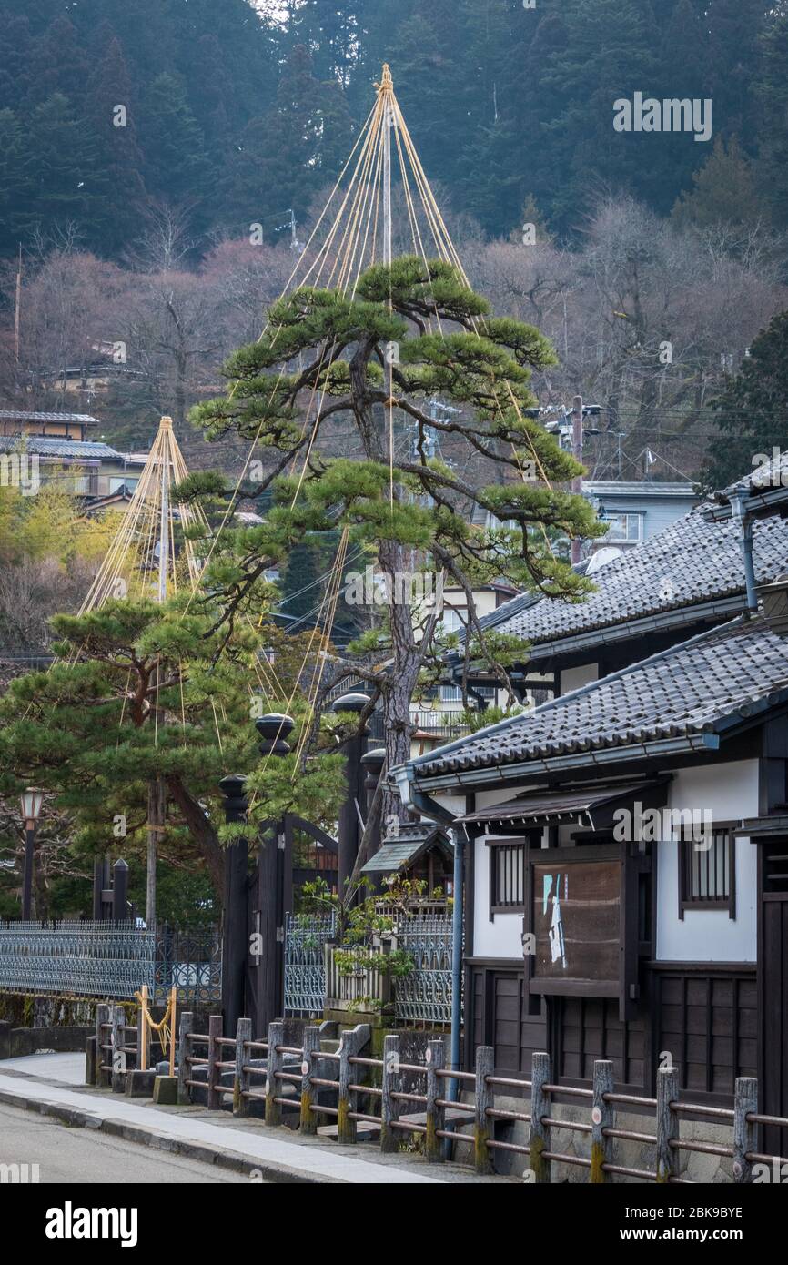 Japanese Tree Protection High Resolution Stock Photography and Images ...