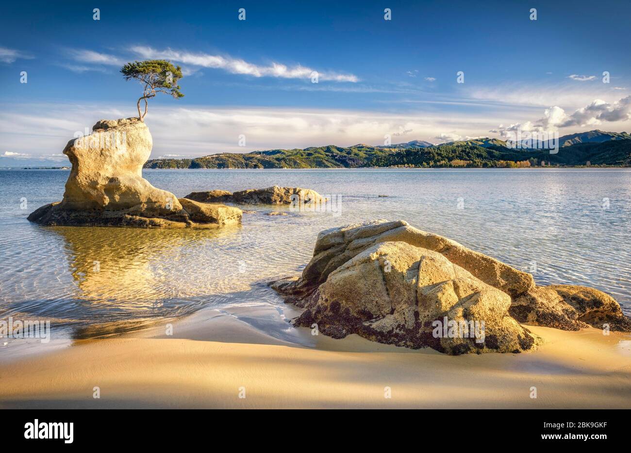 Blue sea with yellow rock shapes, and single tree, Tinline Bay, Abel ...