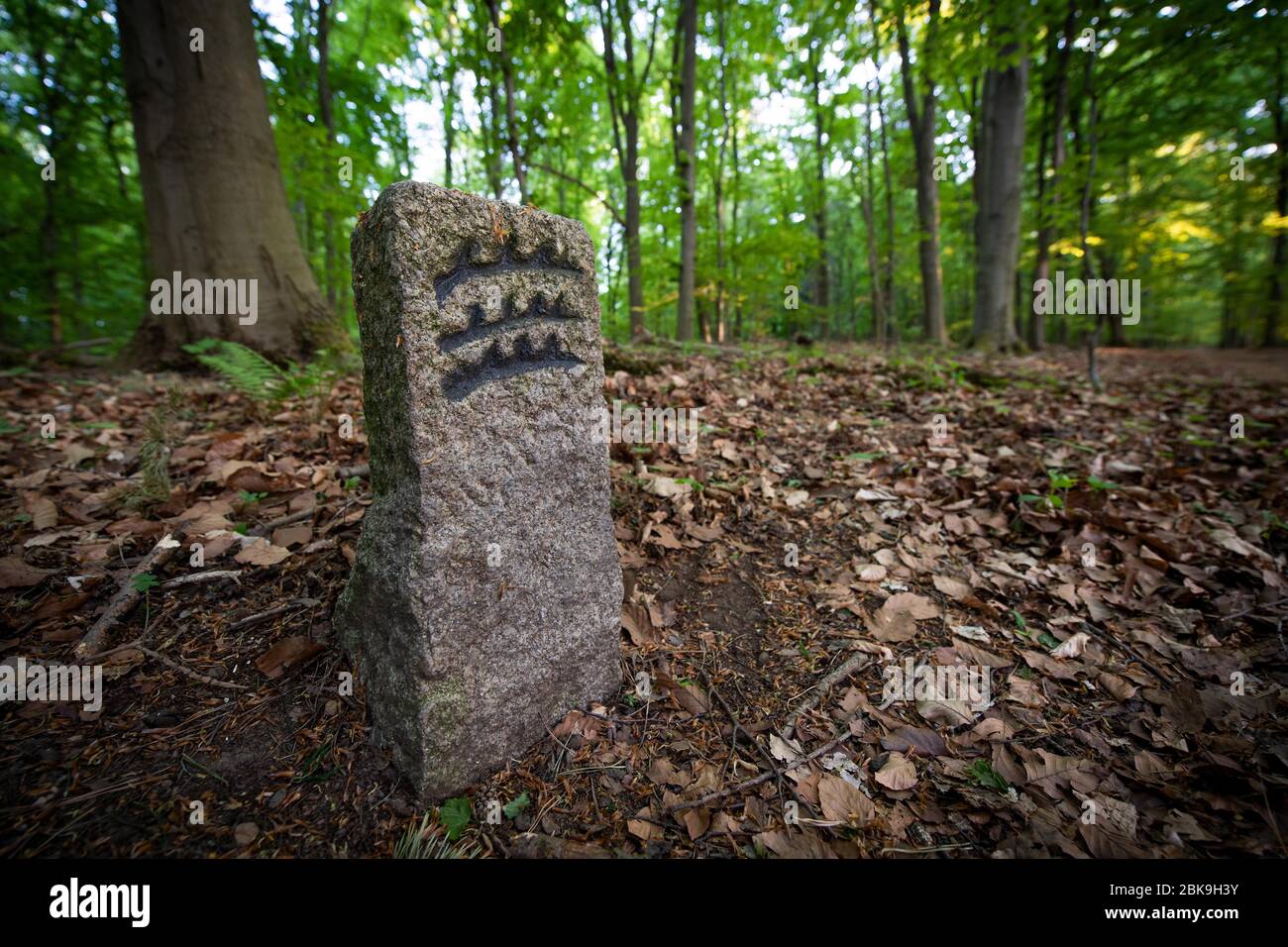 Stuttgart germany forest hi-res stock photography and images - Alamy