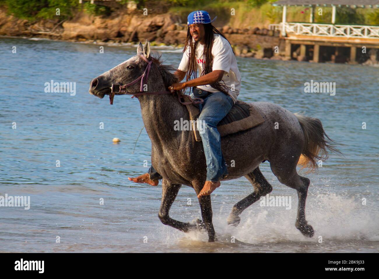 Smugglers Cove, St Lucia-December 11th 2010: Almond Resort, Smugglers Cove, St Lucia-December 11th 2010: Local St Lucian enjoys a Gallop on the Beach Stock Photo