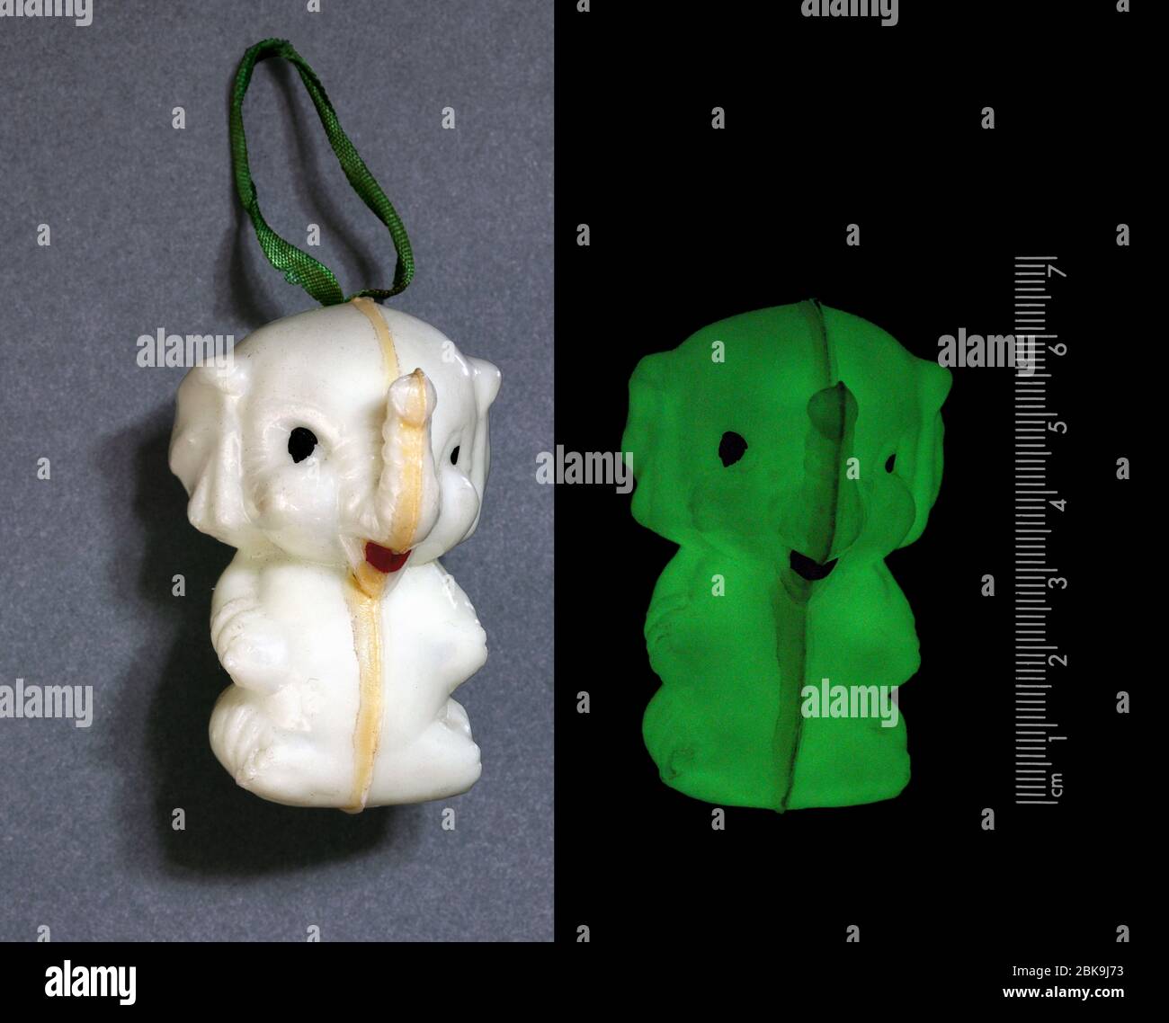 A plastic trinket resembling an elephant (!) coated with phosphorescent paint which makes it glow in the dark. Photos of it in daylight and darkness. Stock Photo