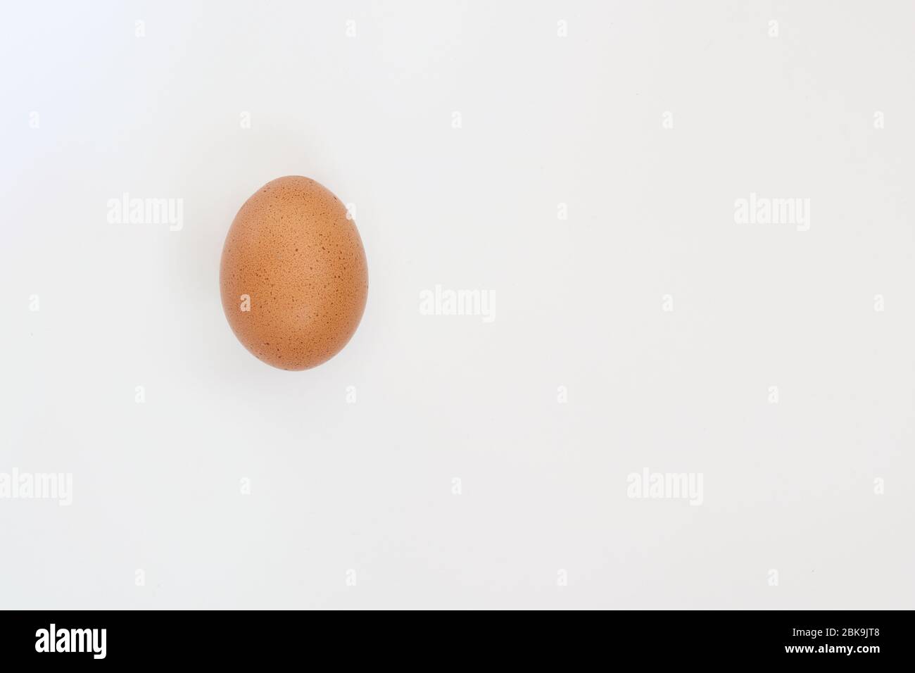 Single dark hen's egg isolated on white background with copy space Stock Photo