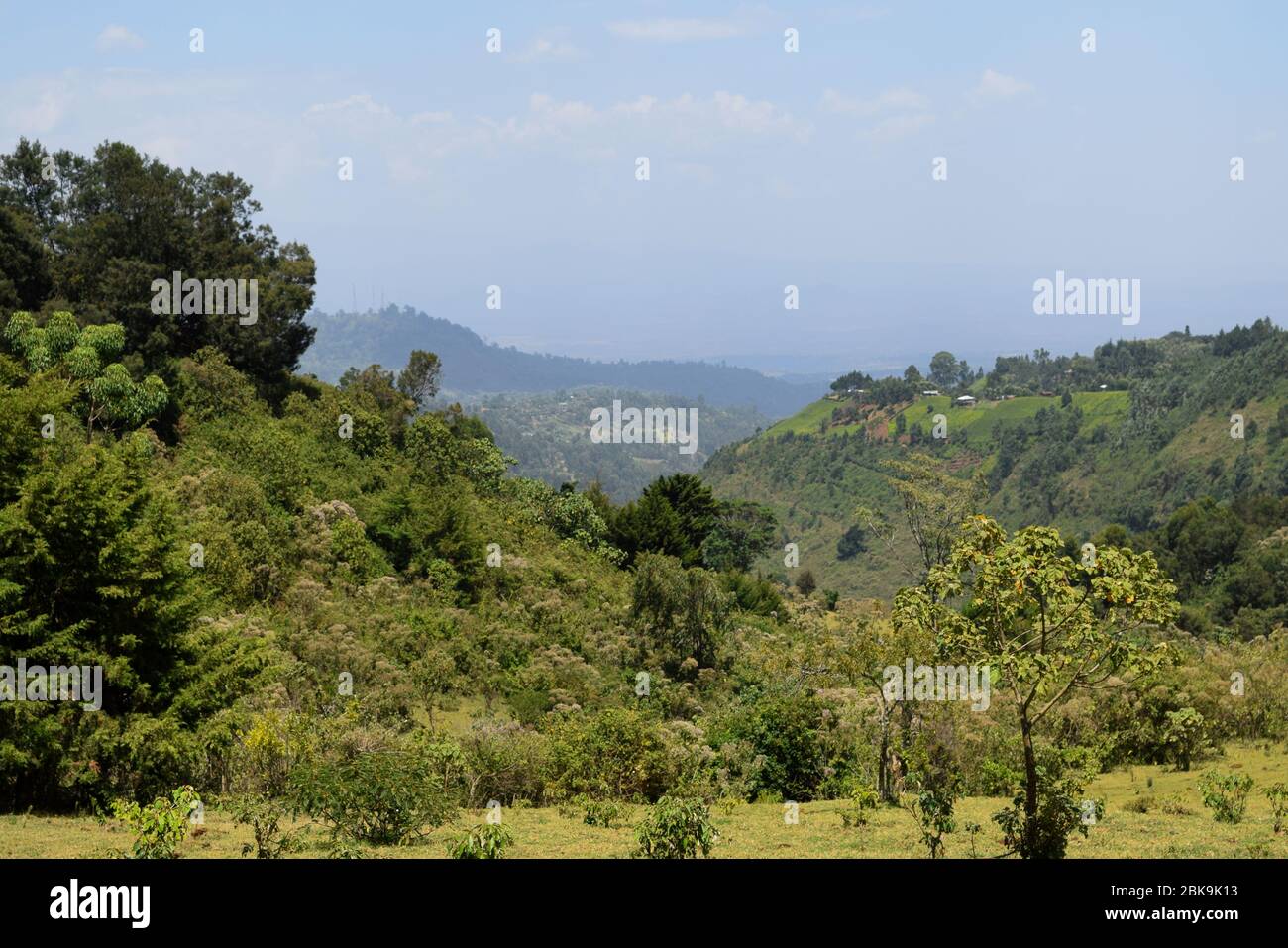 Scenic forest landscapes in the Aberdare Ranges, Kenya Stock Photo - Alamy