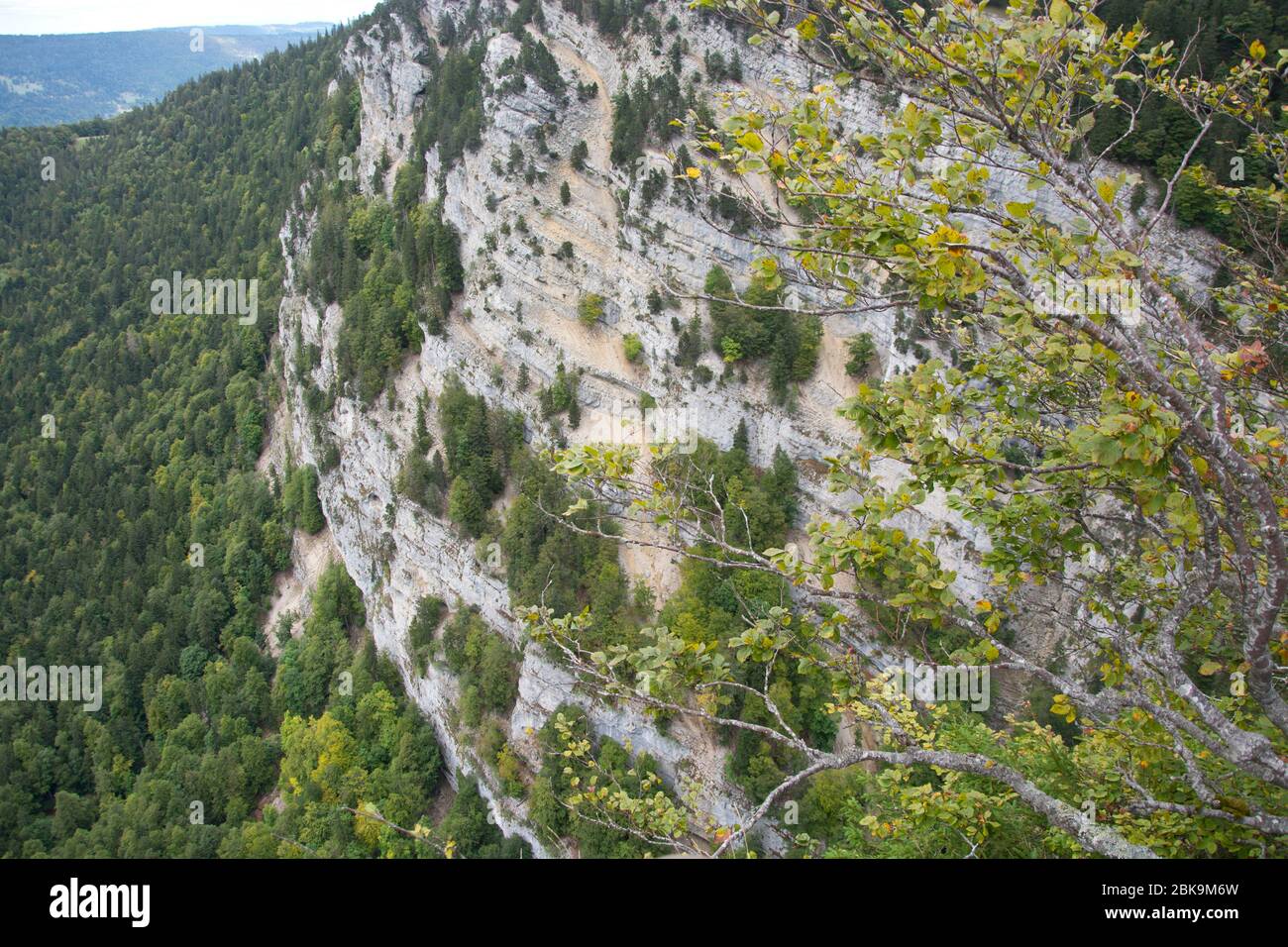 Canyon im Naturschutzgebiet Combe Grède im Berner Jura Stock Photo