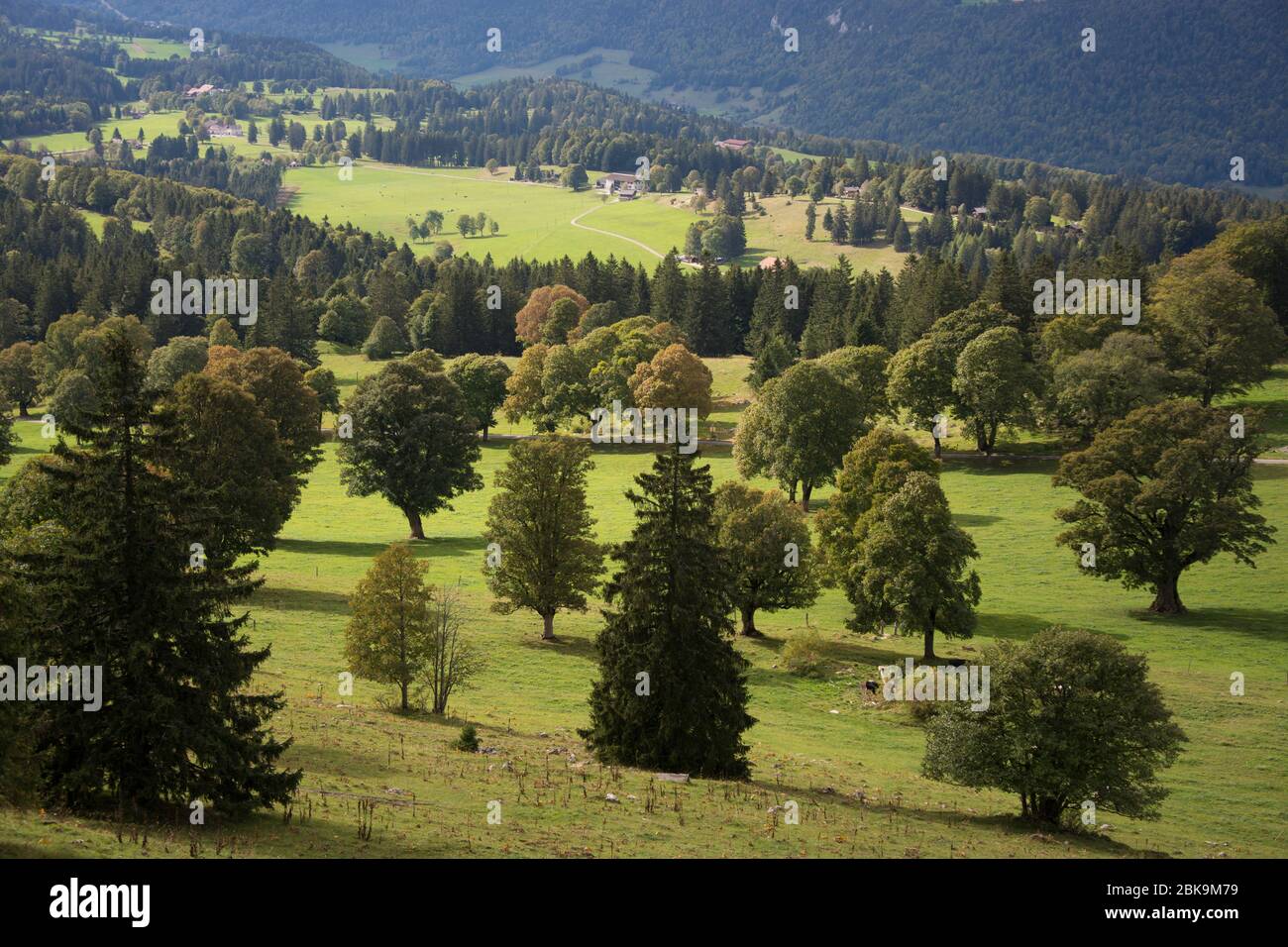 Hochebene von Les Pontins am Fuss des Chasseral im gleichnamigen Naturpark Stock Photo