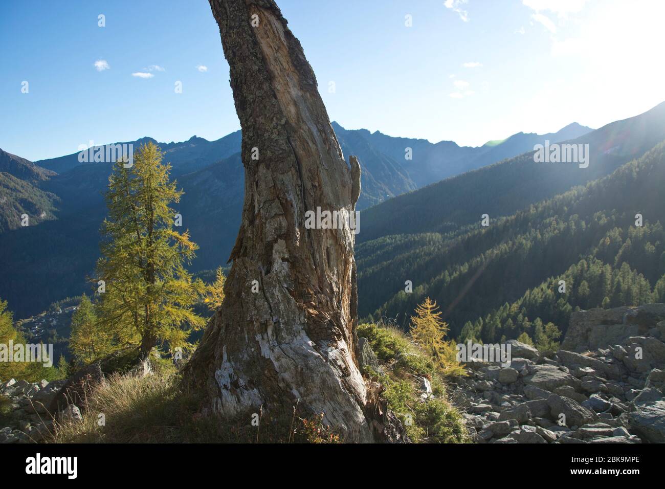 Herbstlicher Blick vom Fuss des Pizzo Bombögn ins Valle di Campo im Tessin Stock Photo