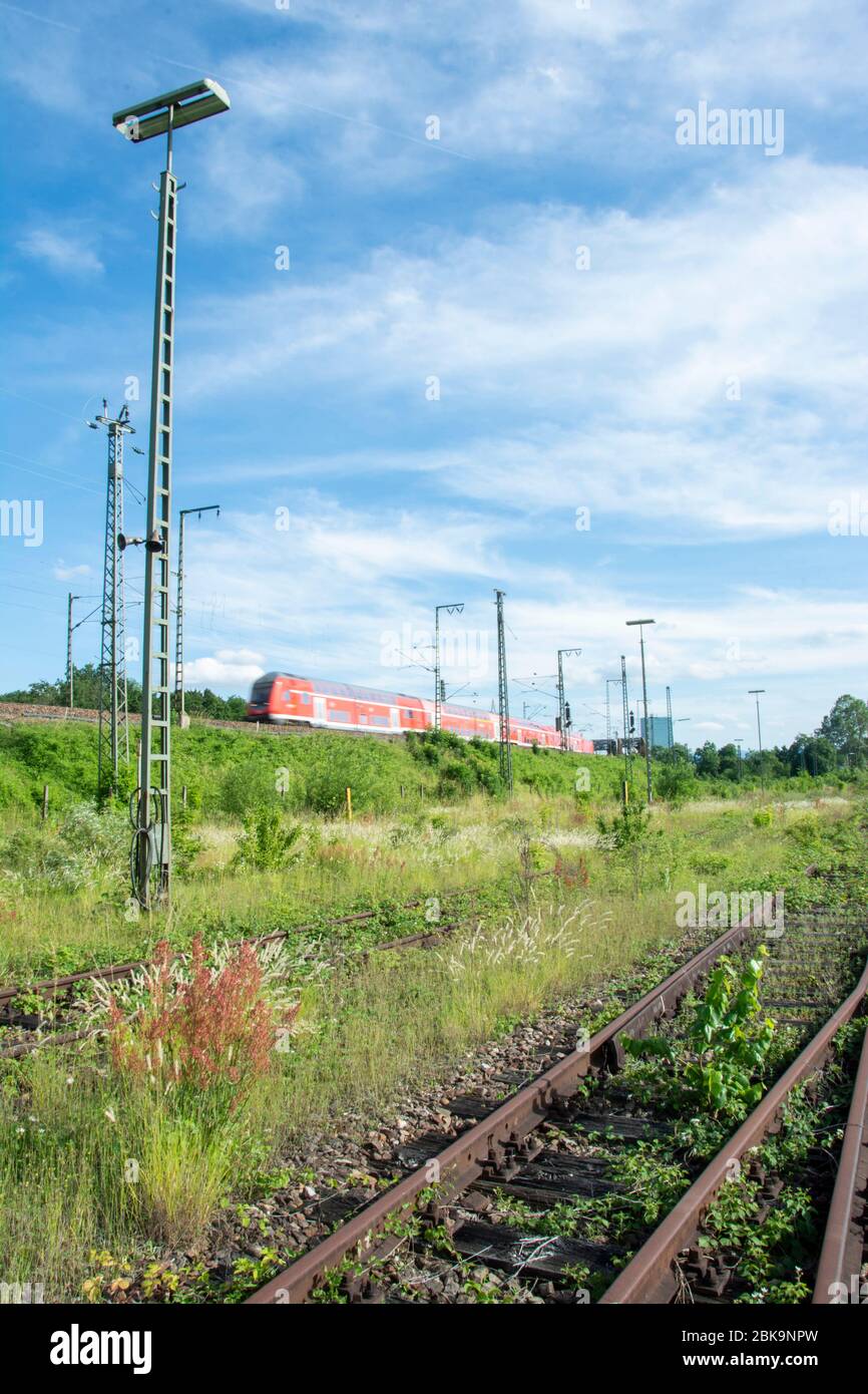 National geschützte Trockenwiese auf dem früheren Güterbahnhof in Basel Nord. Im Rahmen des Projekts Gateway Basel Nord soll diese zerstört werden. Stock Photo